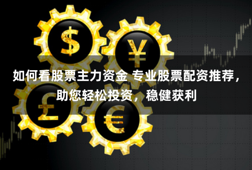 如何看股票主力资金 专业股票配资推荐，助您轻松投资，稳健获利