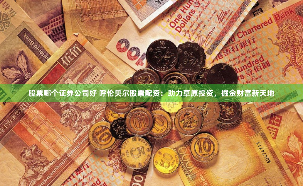 股票哪个证券公司好 呼伦贝尔股票配资:助力草原投资,掘金财富新天地