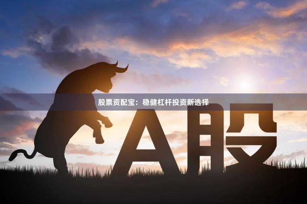 股票资配宝：稳健杠杆投资新选择